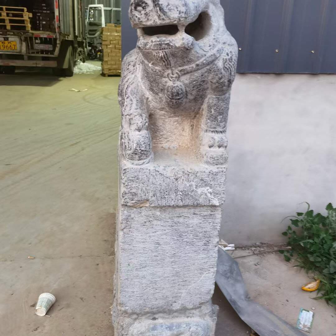 野驴
