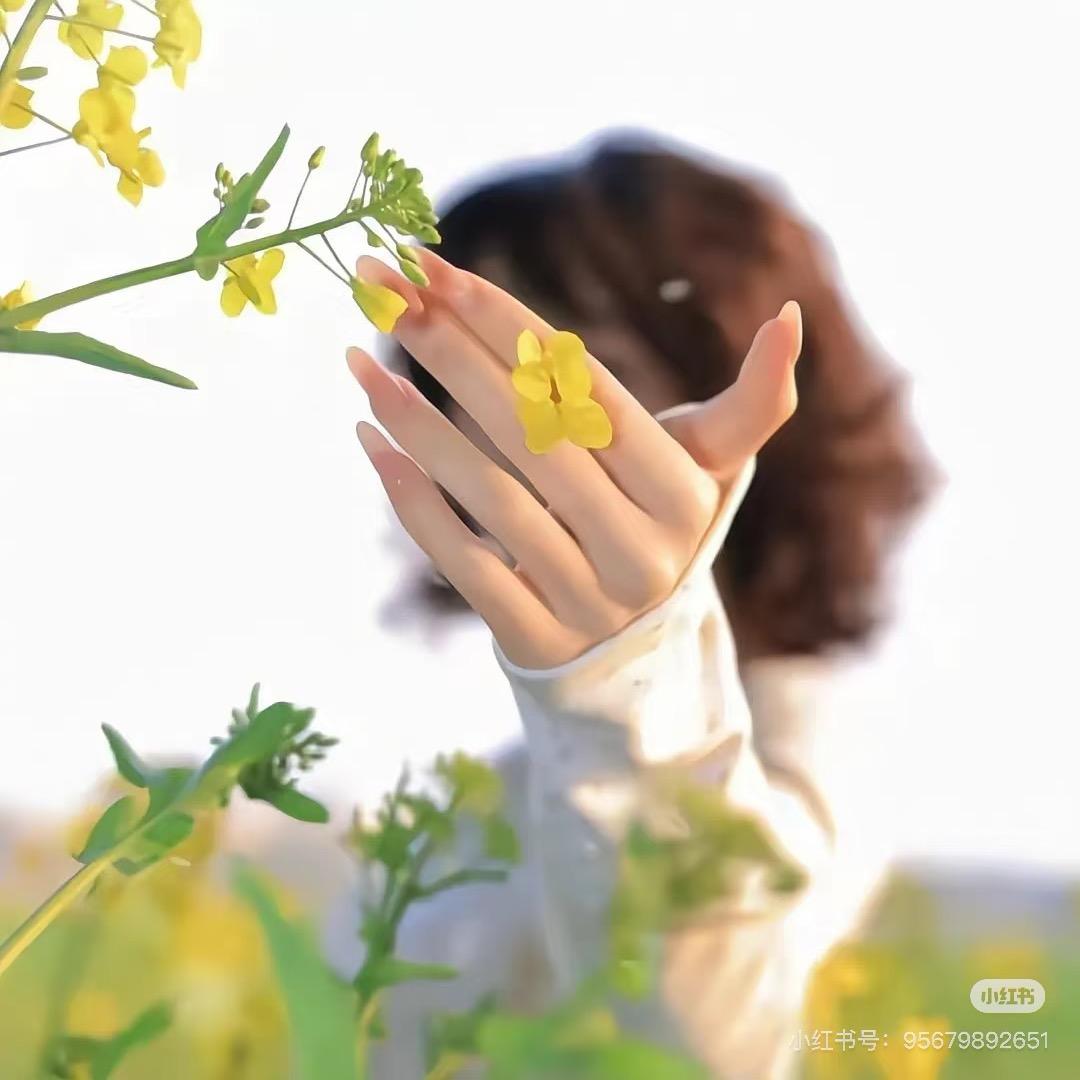 ☘️小蛋卷