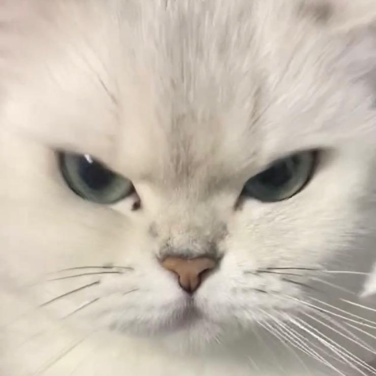 小斧头儿