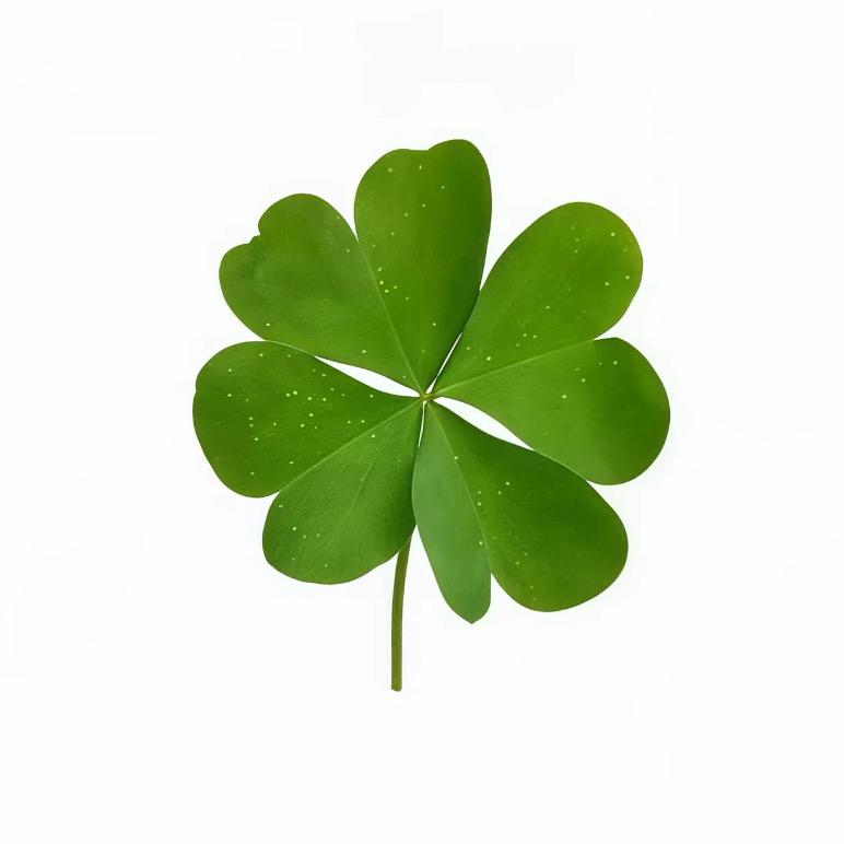 一個無聊的人類、