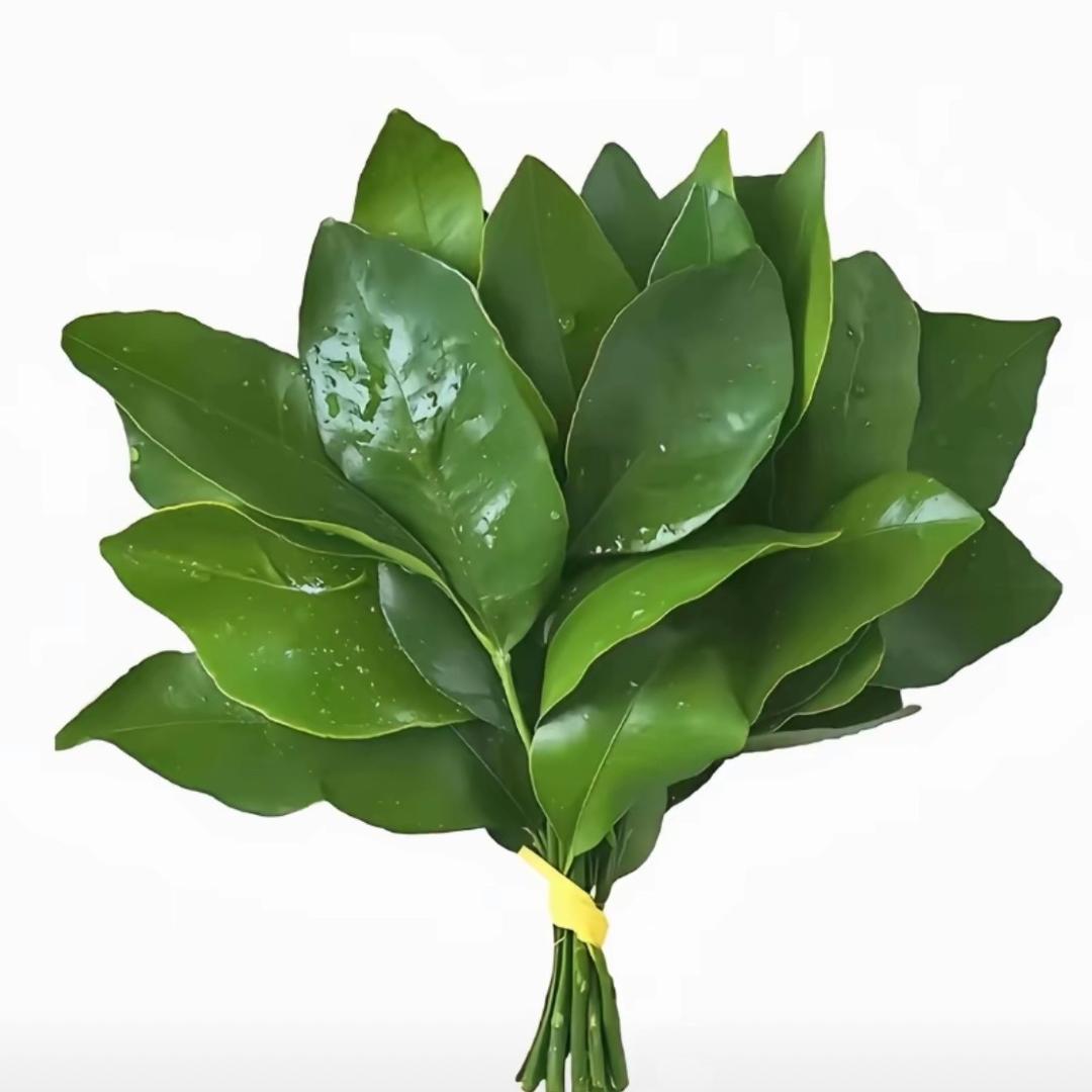瑶🍀