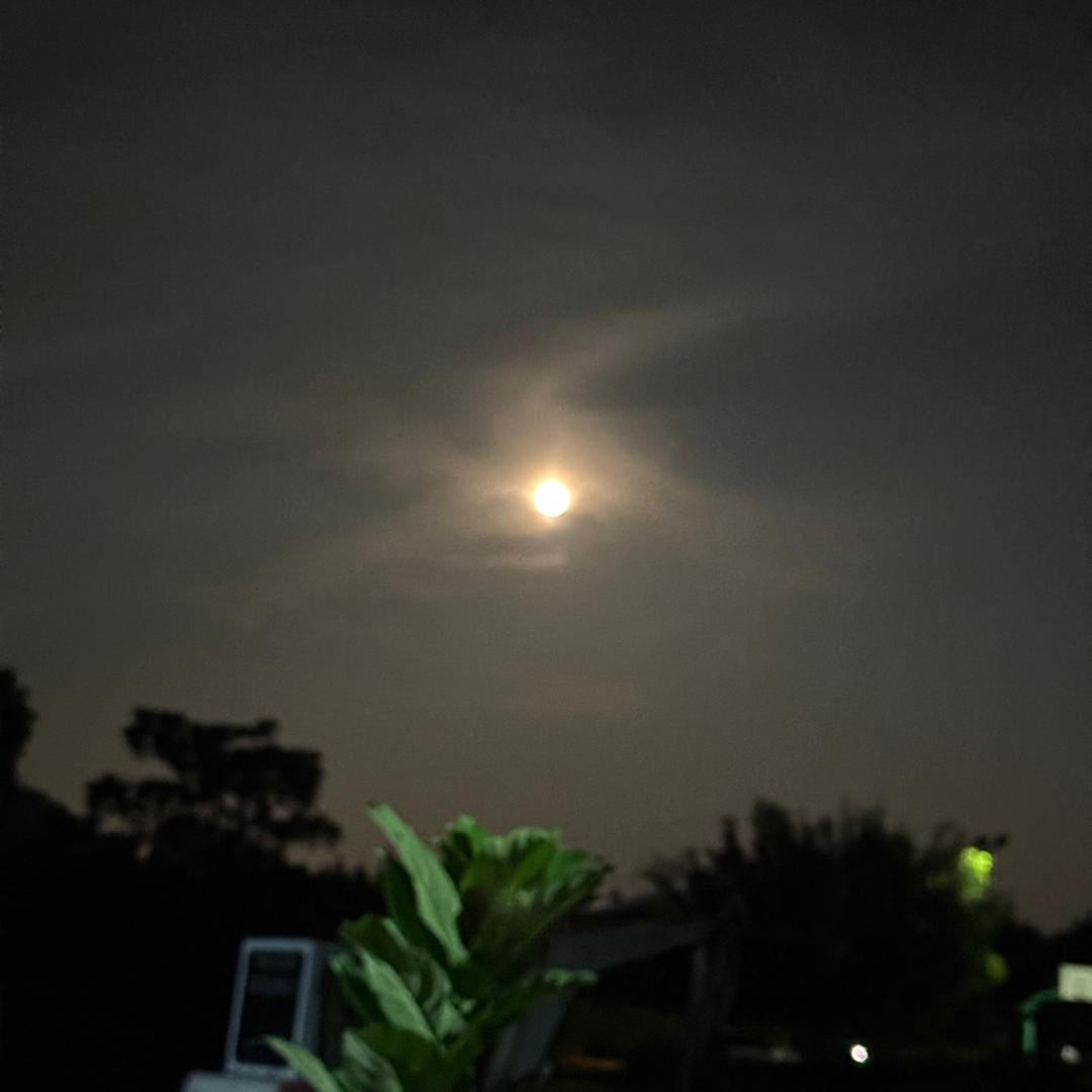 你的曼玉