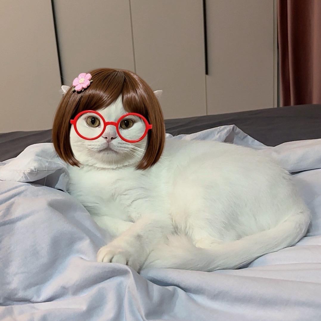 李奶盖