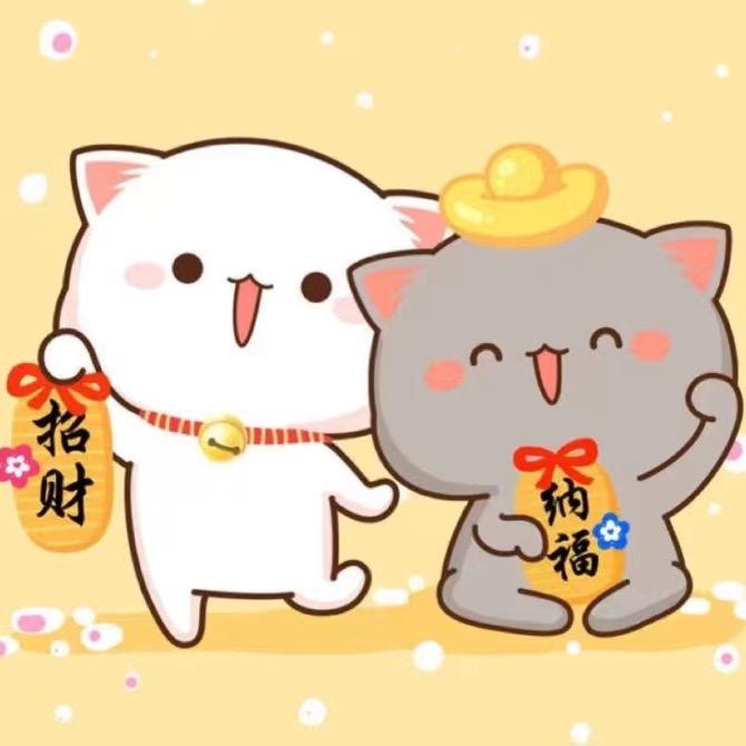 大脸猫在澳洲2