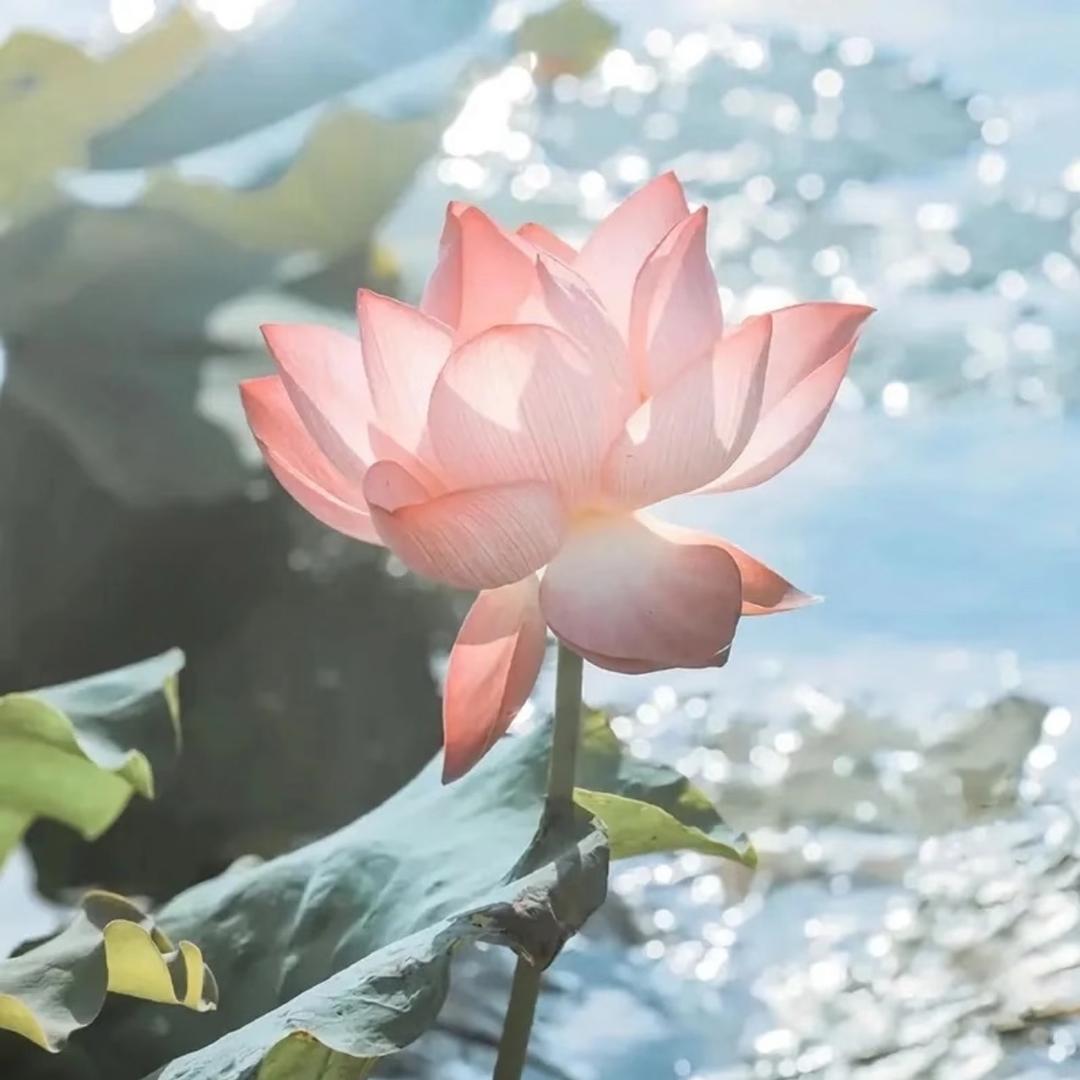 公考上岸宝典