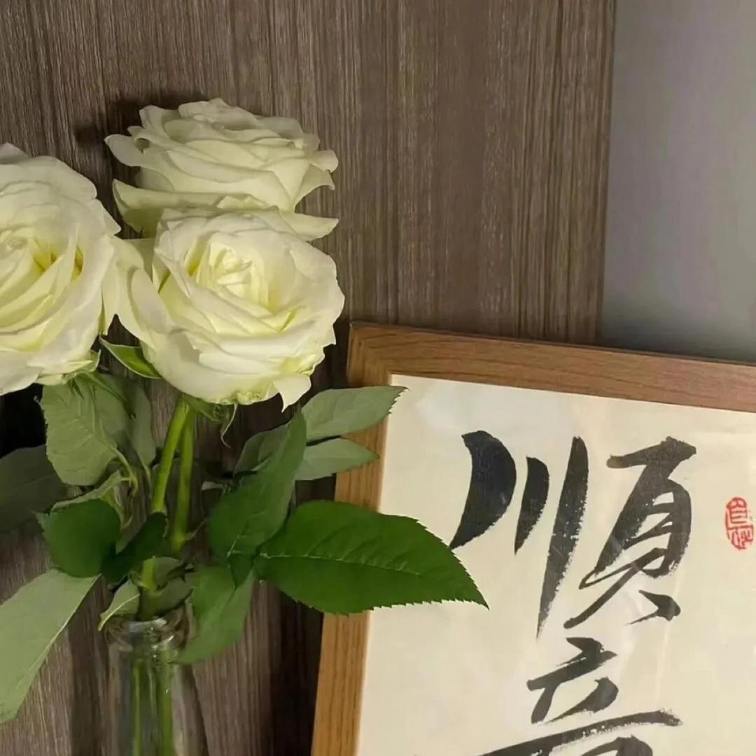 半胖姐姐