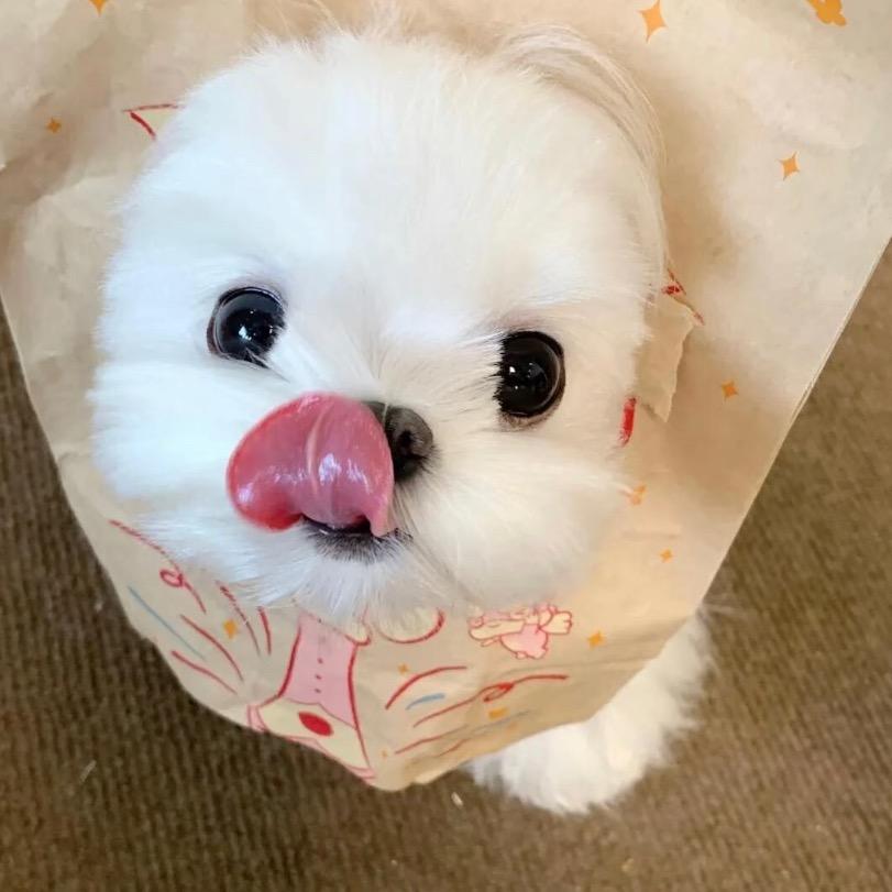 阿梨