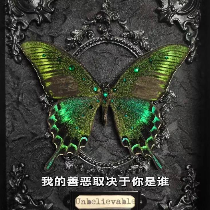 巫兮Queen