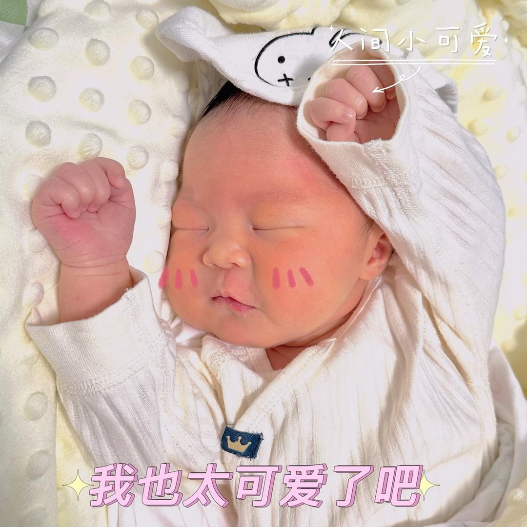 是小姩姩呀🌱