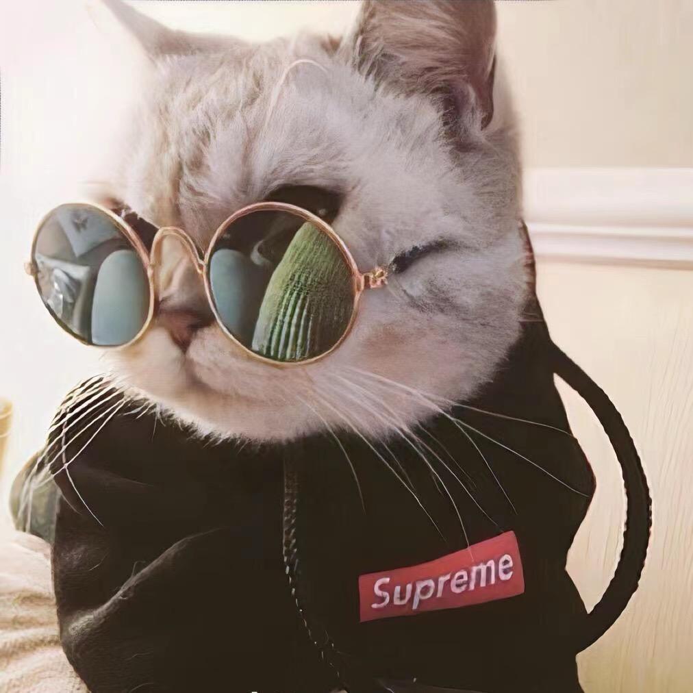 ㅤㅤㅤㅤ  ㅤㅤㅤㅤㅤ  ㅤㅤㅤ