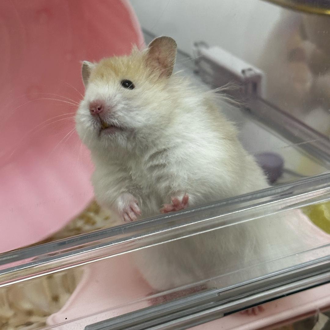 花🪷开富贵💋