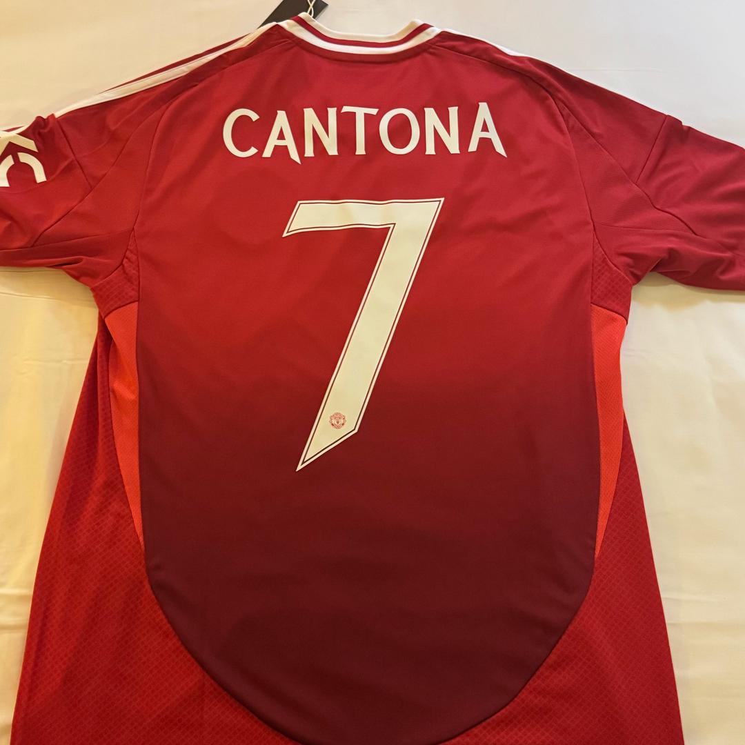 老特拉福德折耳根