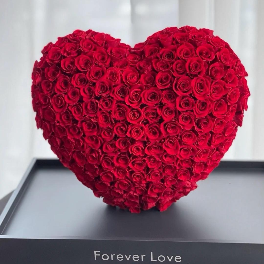 孙兔兔.（变美版）