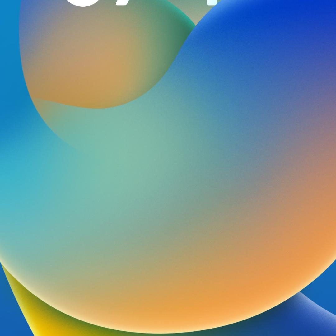 25610094560