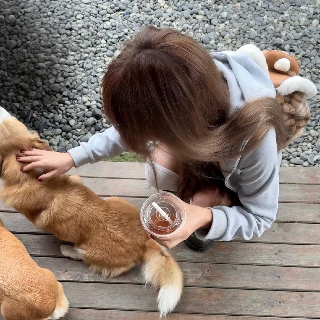 清纯女不高