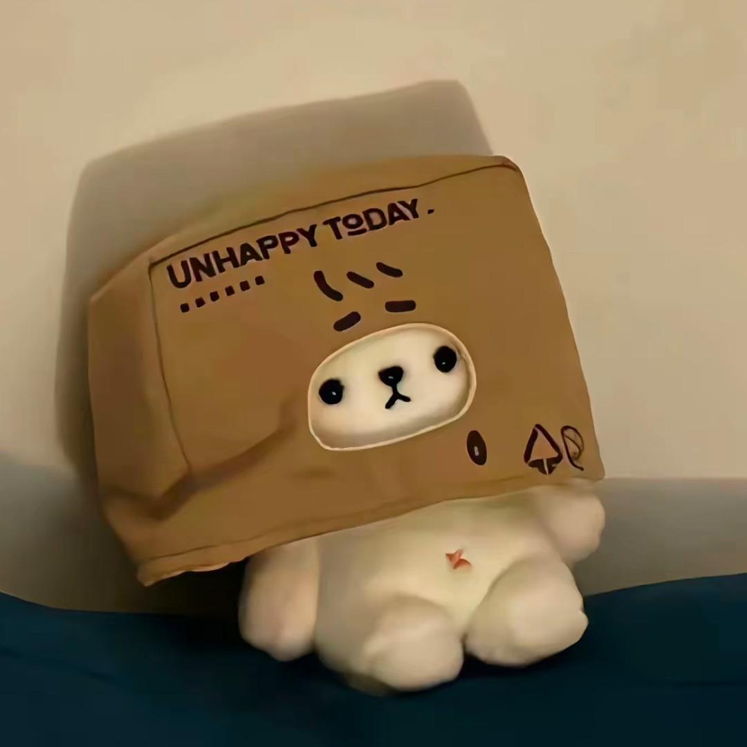 懒猫🧀