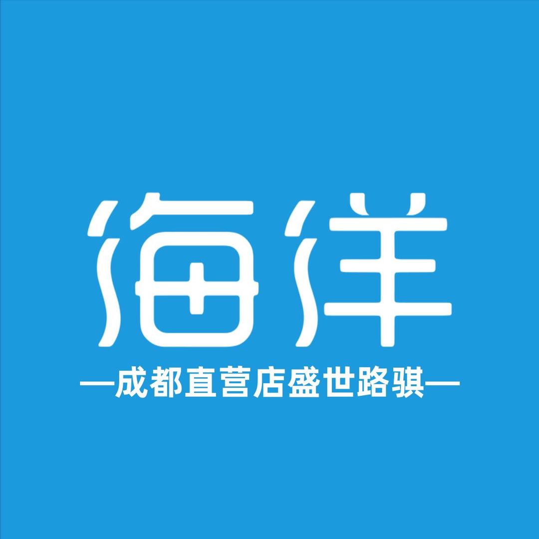 比亚迪海洋（成都盛世路骐）