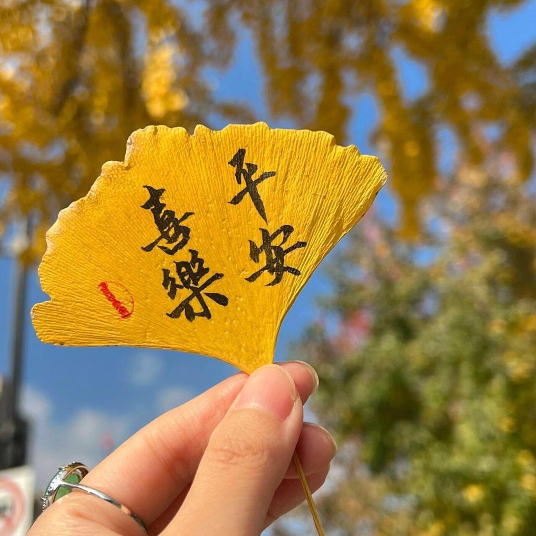 三寶寶助理 🍀