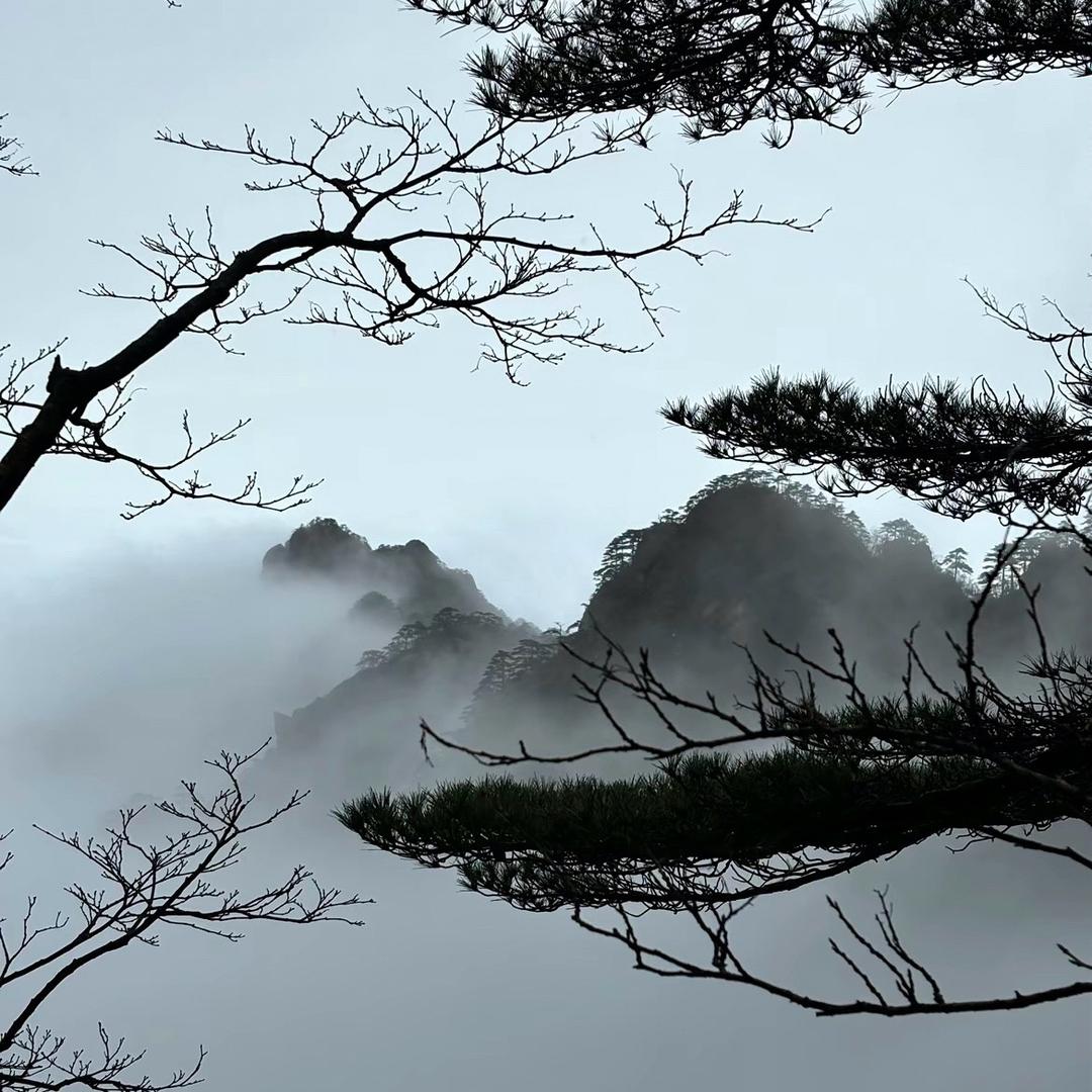 风吹༺麦哩个浪