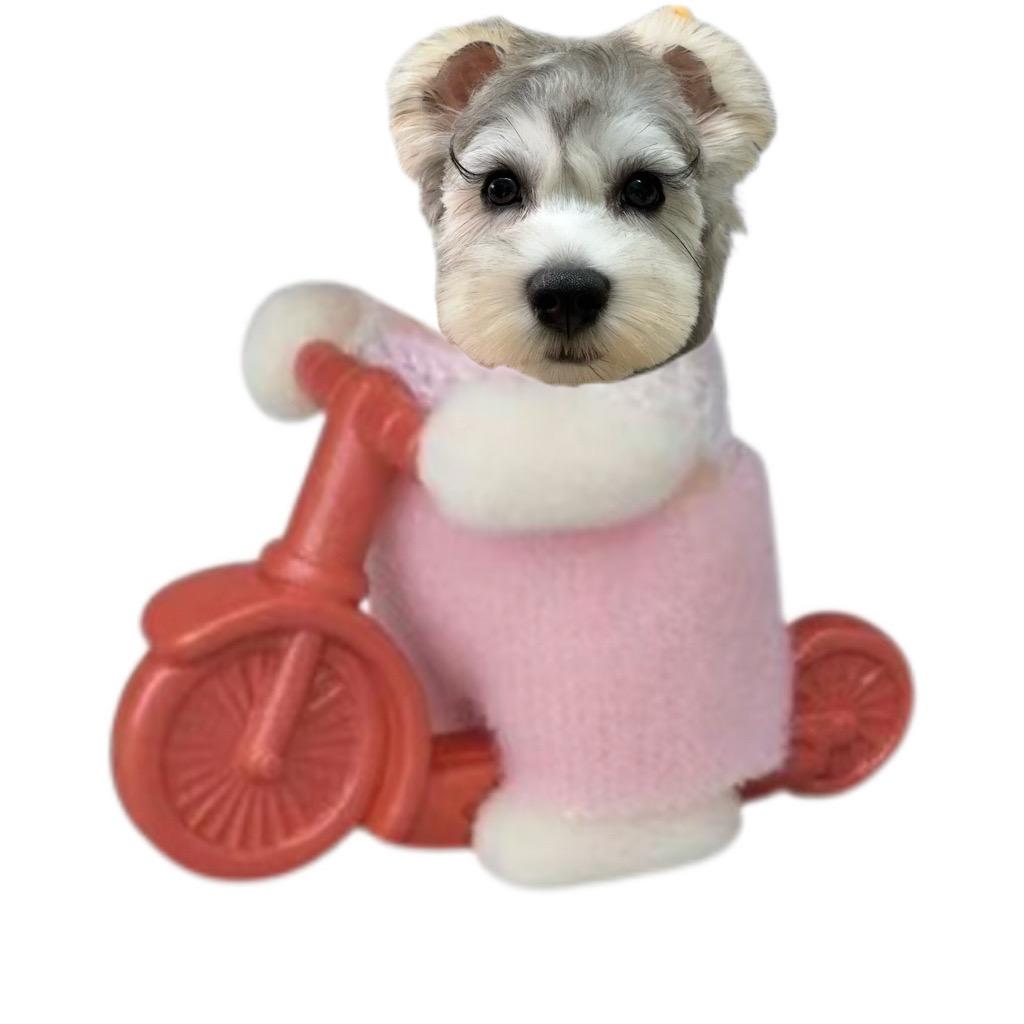 好运滚滚来之我爱吃麻辣烫