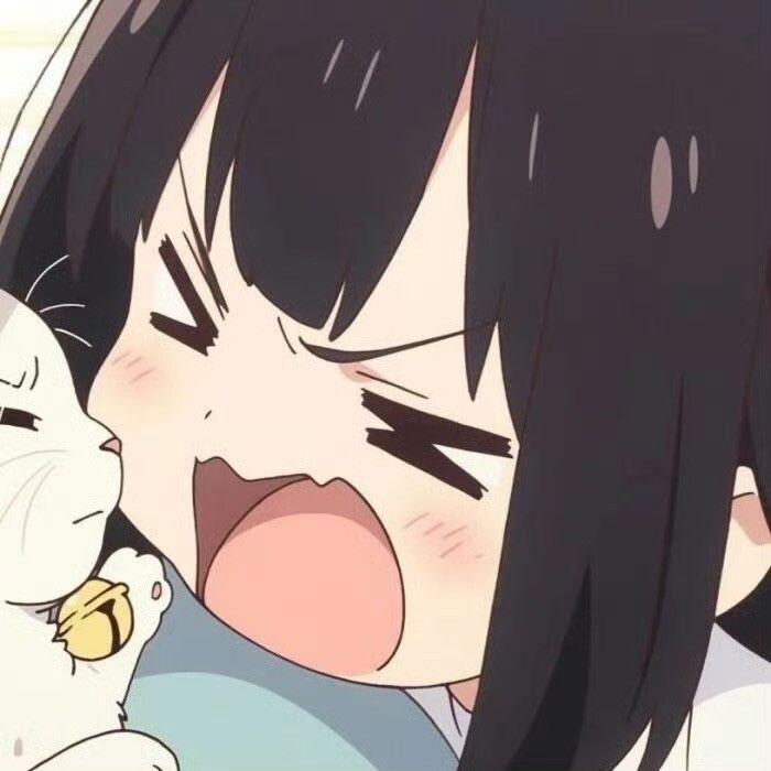 叼炸天的王八