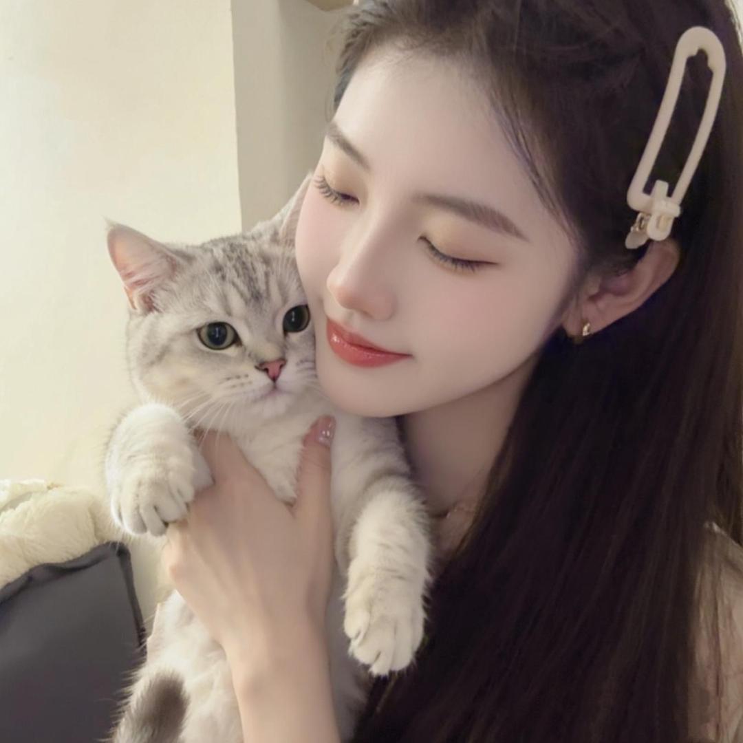 番茄炖了西红柿