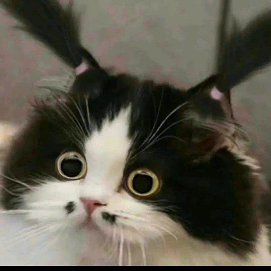 🍊橘子皮真的好吃