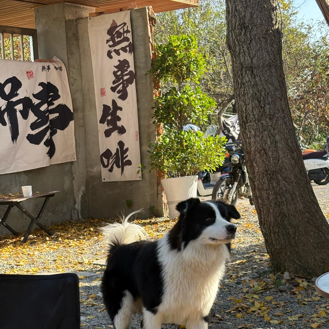 平安喜樂丶