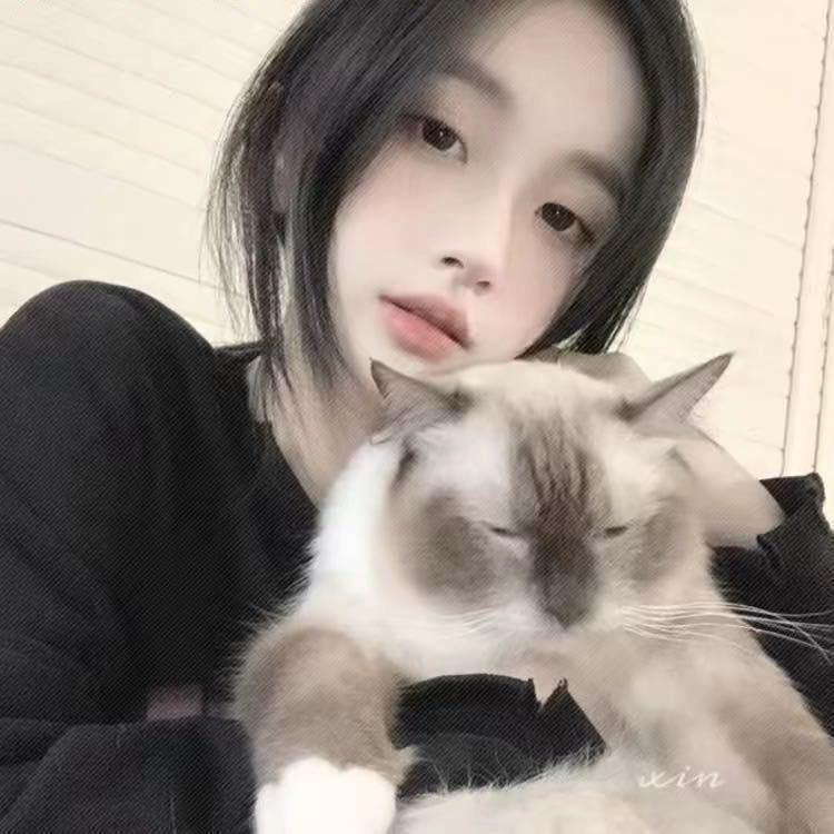 傻浩