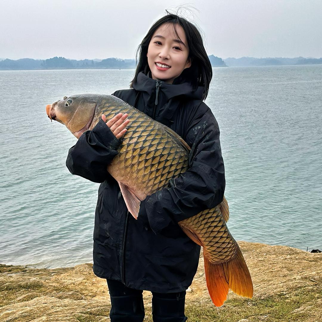 小艺休闲钓(欧鲤钓）