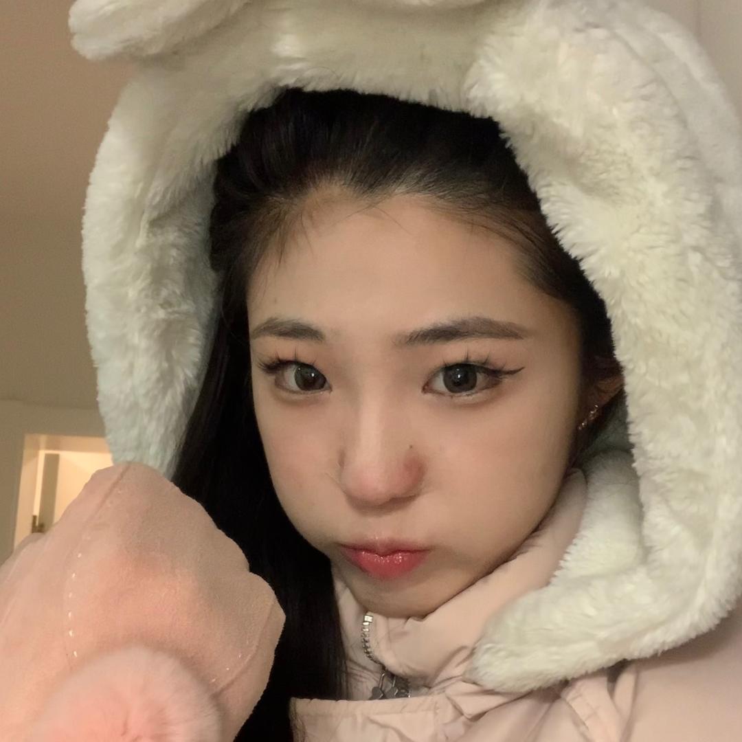 来点兔子