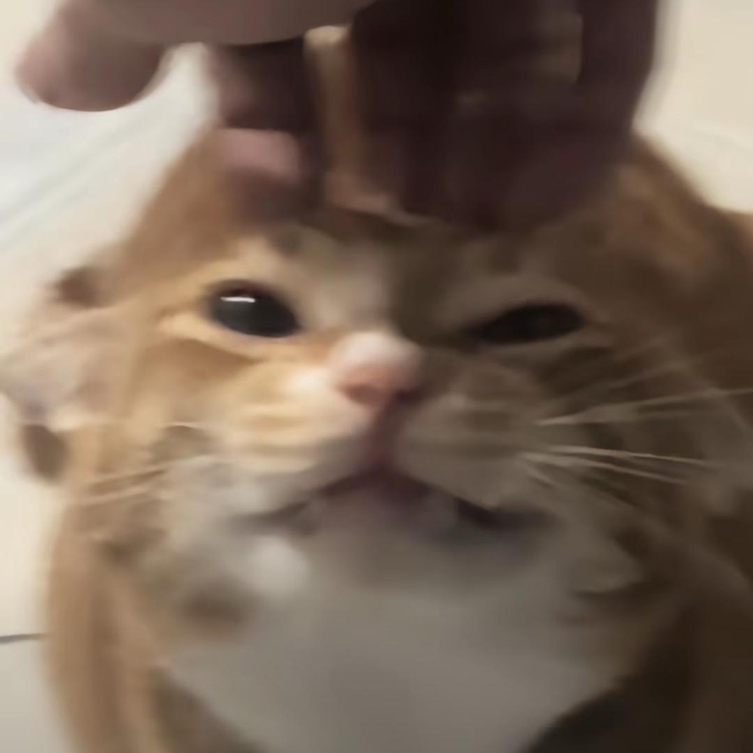 枸杞大王