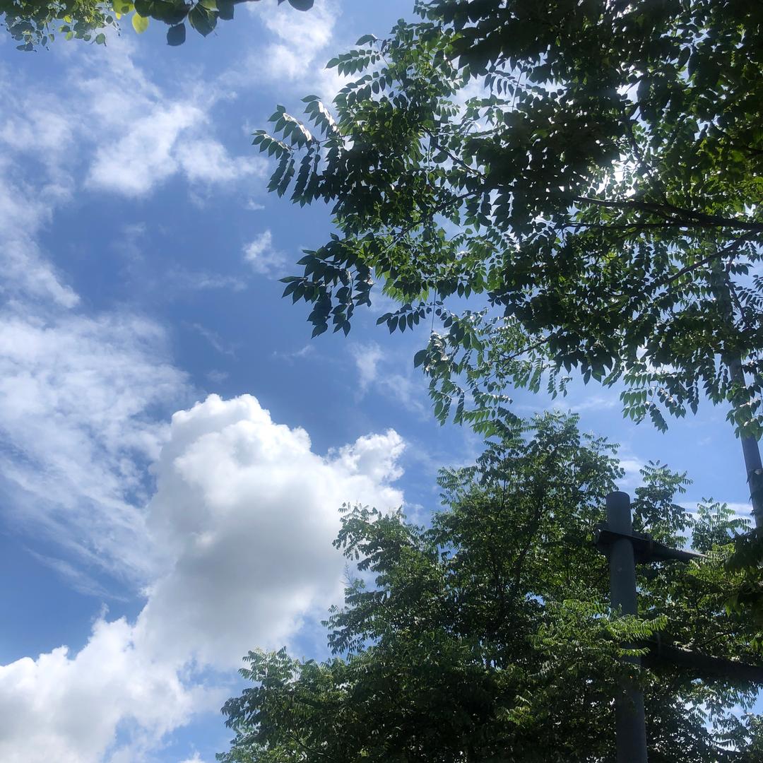 ❤️单曲循环🔁