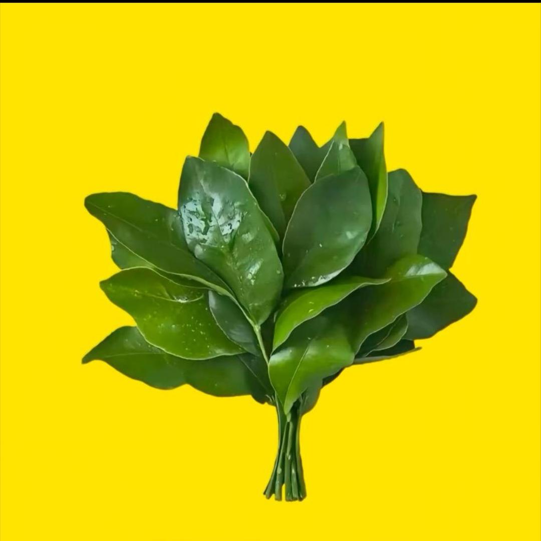 长治商k🌹【世纪嘉年华】