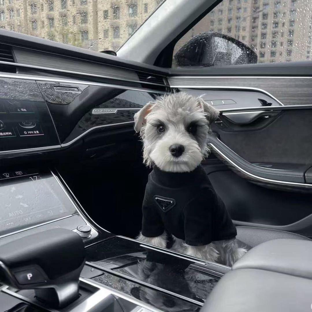 锦程名车•陈晗