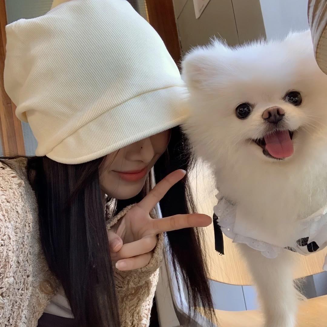 小Q大王
