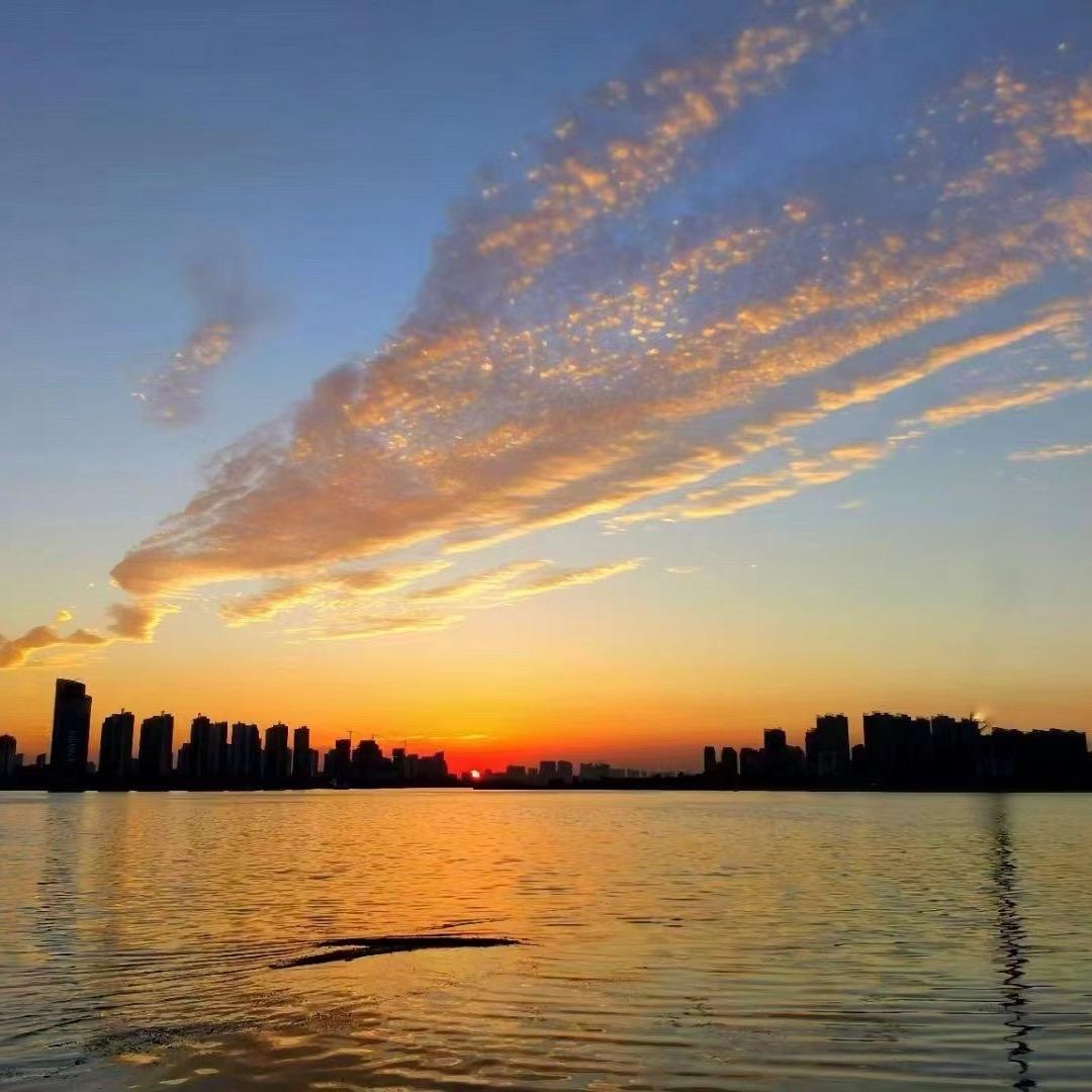 ㅤㅤ西平田庆庆重庆地摊-火锅鸡