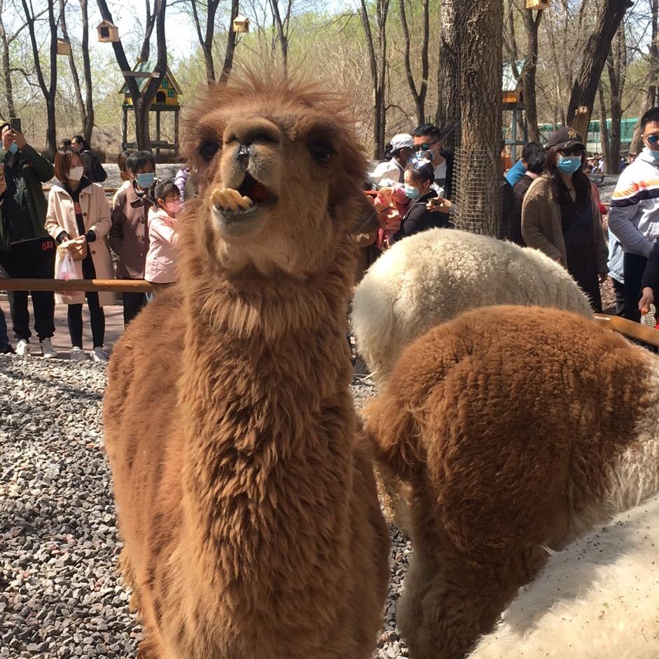 又是一年无味