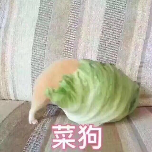 反复ovo