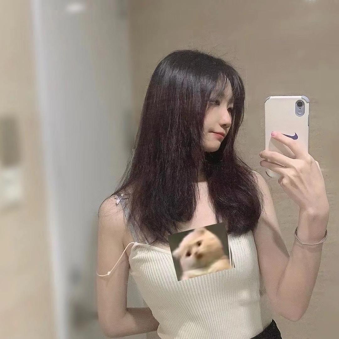 锦程林惜惜