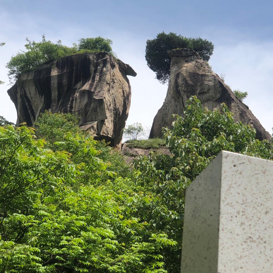 定州人闯狮城