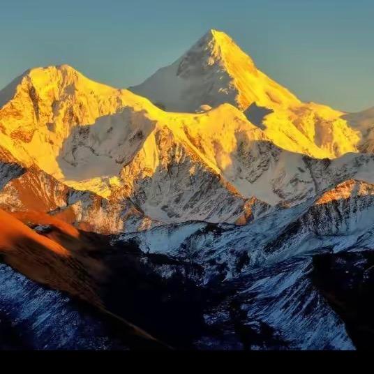 💰赵财进宝🙏