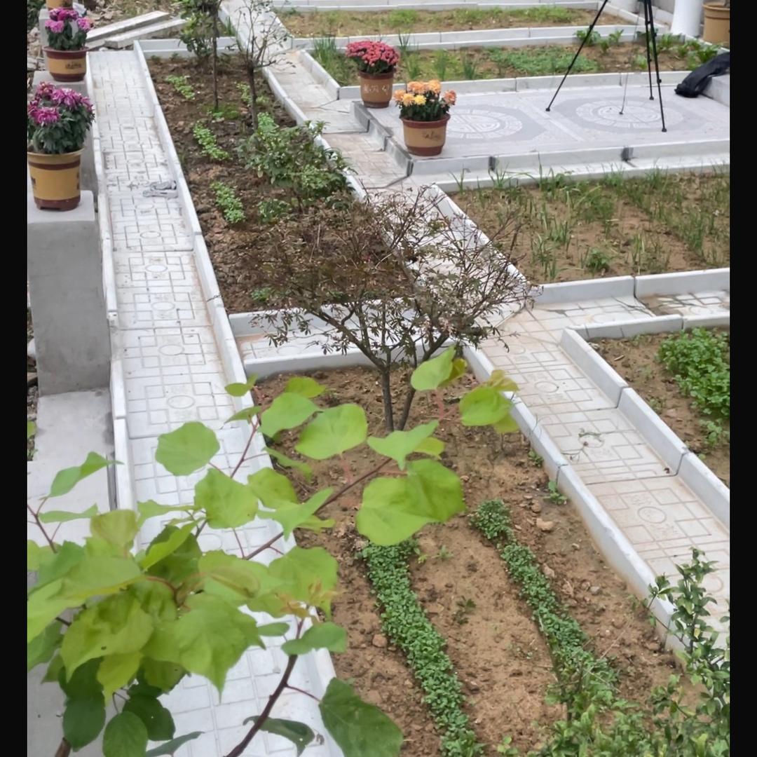 菜沟板厂家7