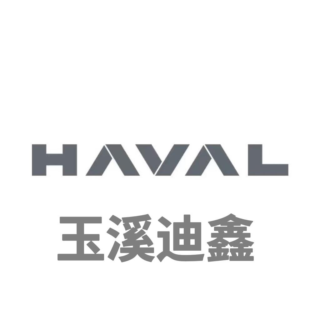 玉溪迪鑫哈弗总店
