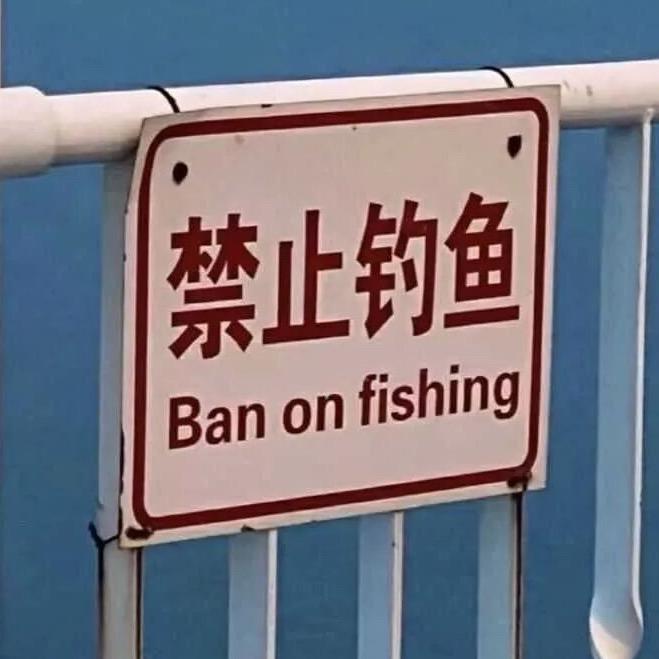 出来搞矶🎣