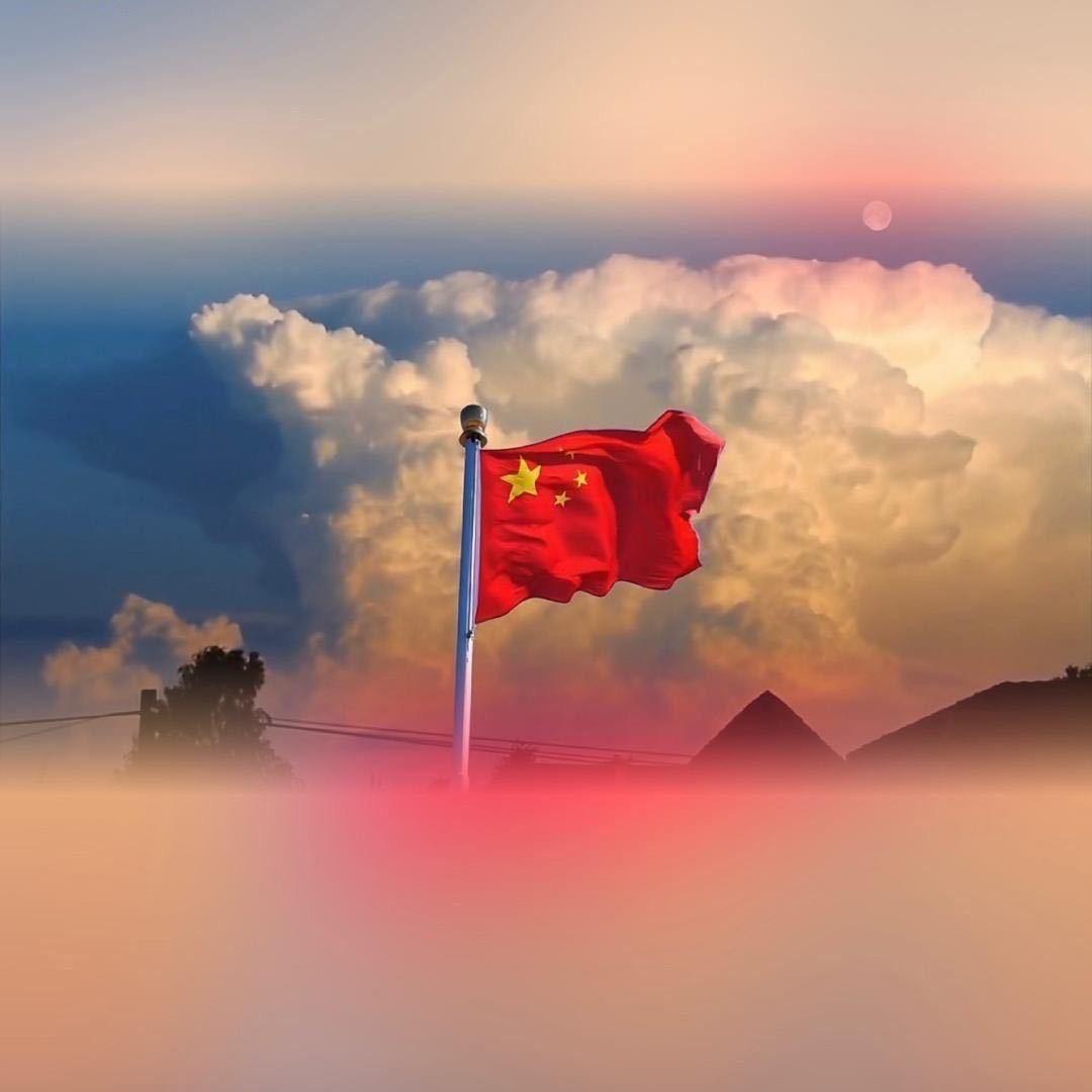 晨晨