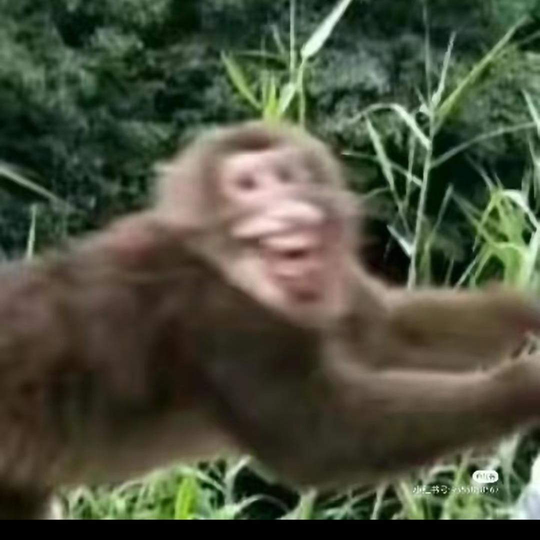 王者归来7