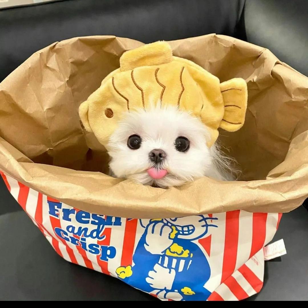 🦋我小时候挺瘦💕