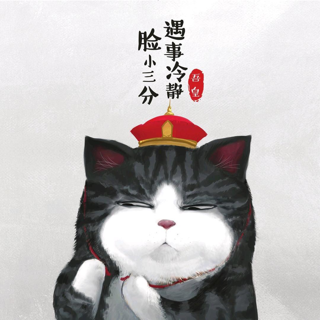 Z周周
