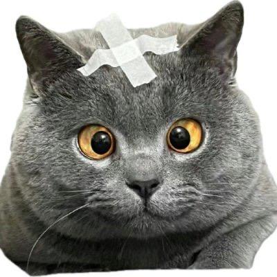 猪竹煮住